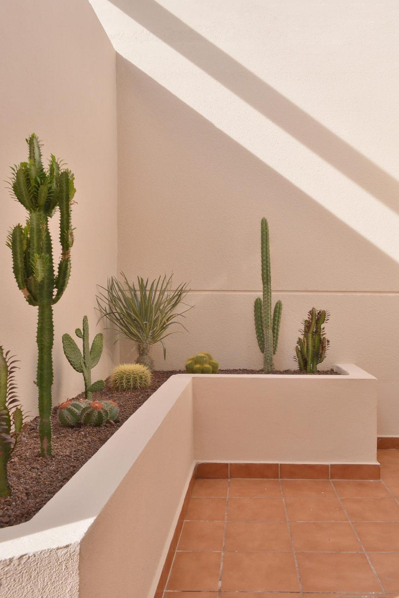 Casa Mareterra - Design Villa With Pool And Terrace Near Corralejo And Lajares 外观 照片